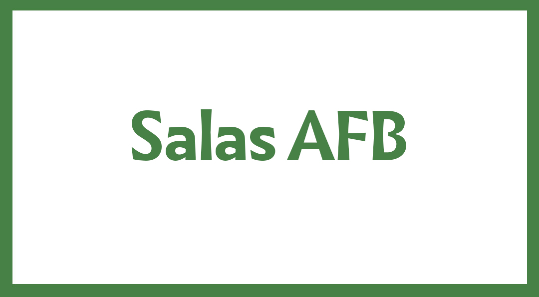 SALAS-AFB